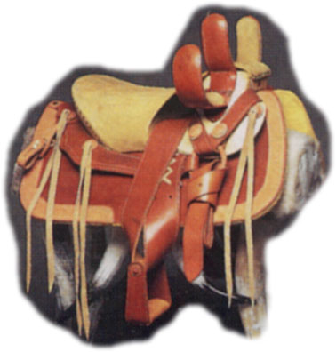 Charro Lady Saddle 11